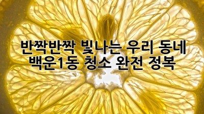 ✨ 반짝반짝 빛나는 우리 동네! 백운1동 청소 완전 정복 ✨