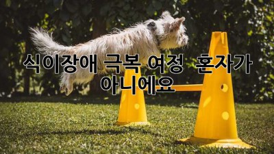 식이장애 극복 여정 🤝 혼자가 아니에요!