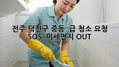 전주 덕진구 중동 🏡 급 청소 요청 SOS! 🚨 미세먼지 OUT!